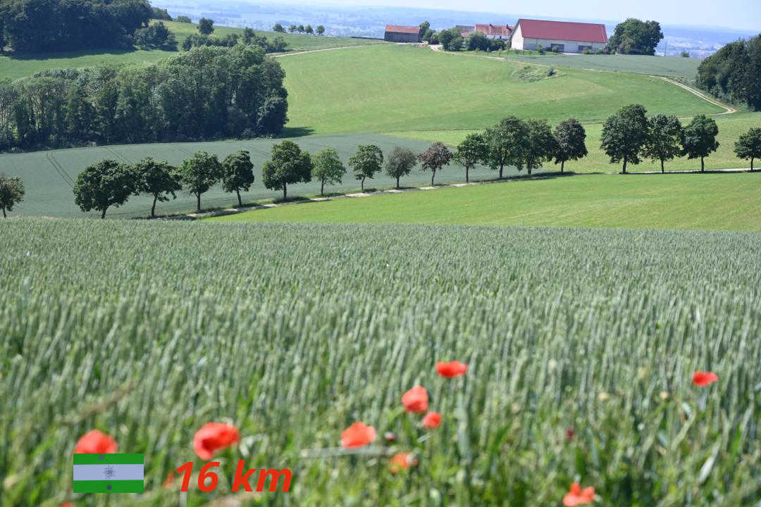 Donauwörth - Edelweißweg