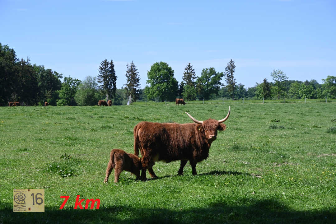 Altmühl 16 - Rundweg Kaisheim