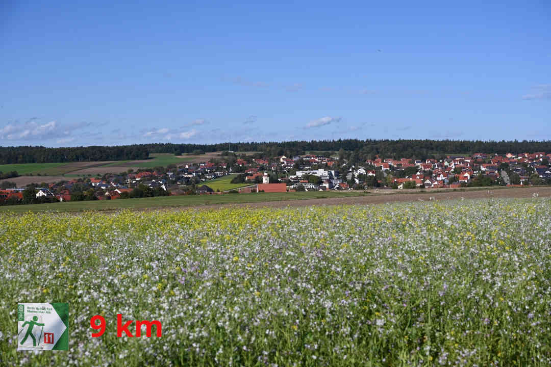 Monheim - Nordic Walking 11