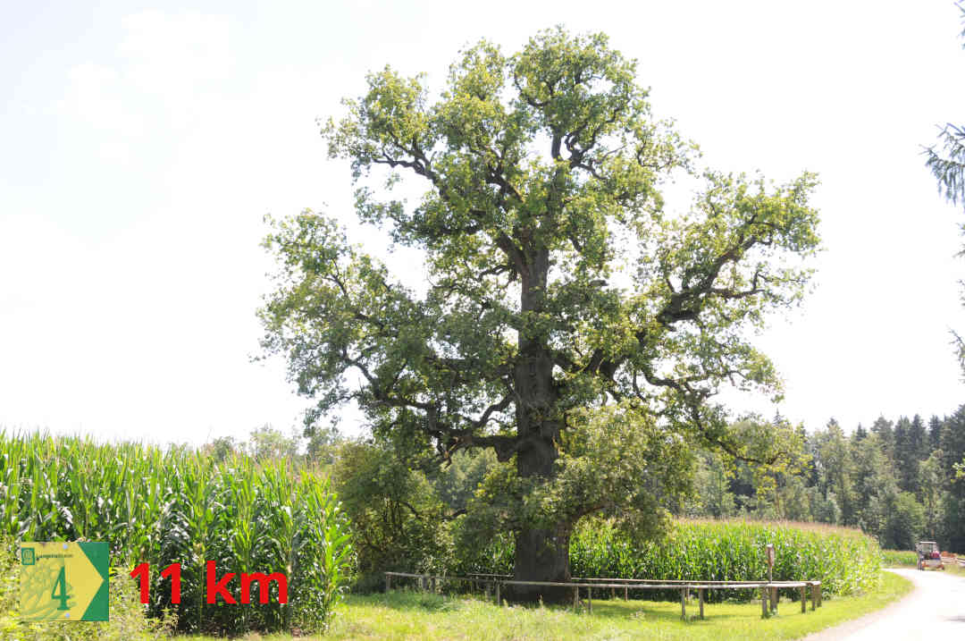 Langenaltheim - Dreiländereck - Langenaltheim 4