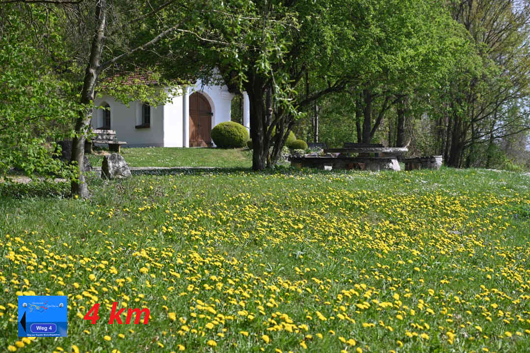 Donaumünster - Waldkapelle