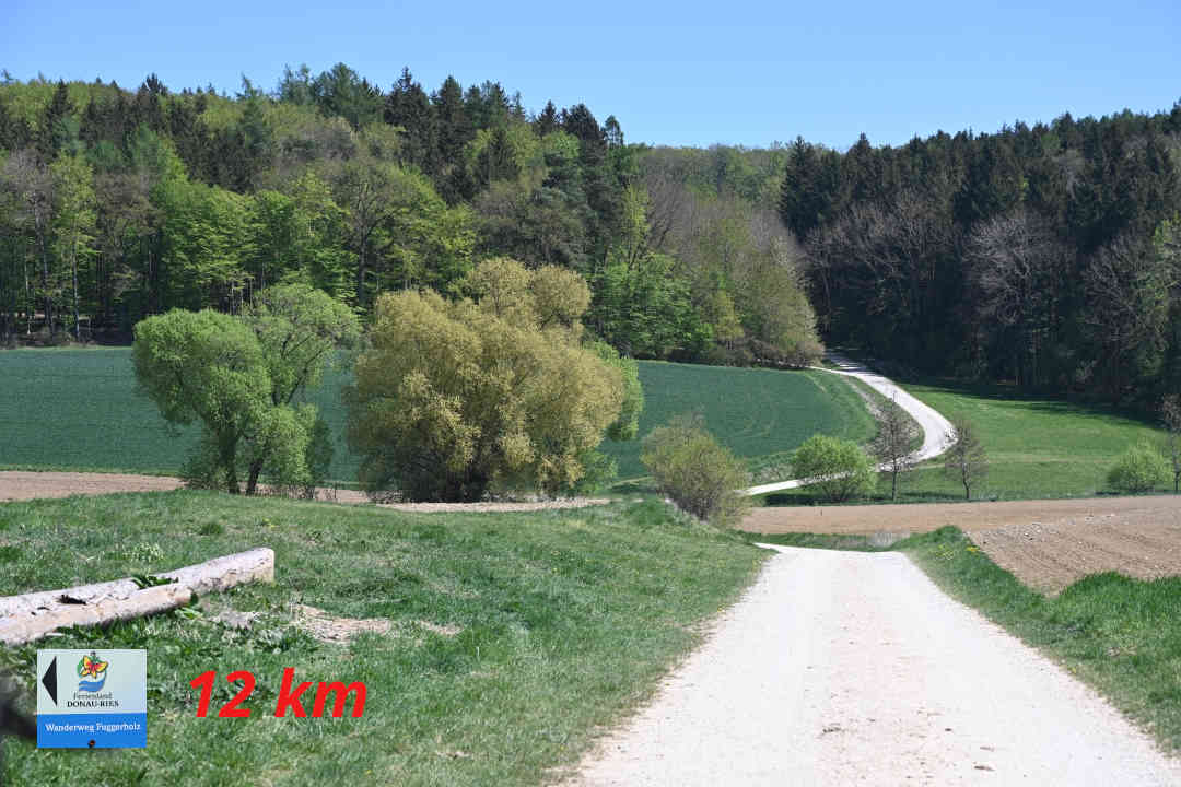 Donaumünster - Brachstadt - Wanderweg Fuggerholz