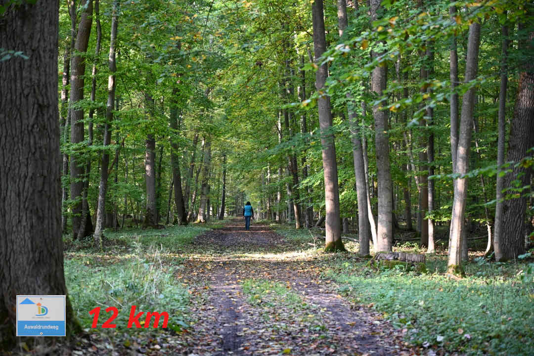 Sonderheim - Auwaldrundweg