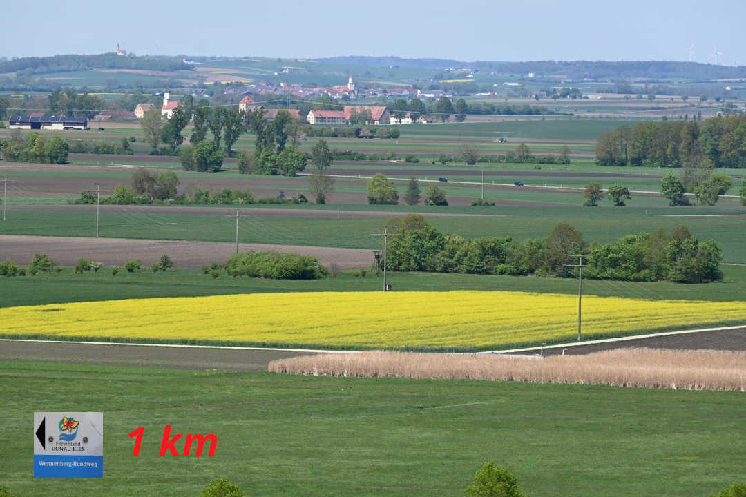 Alerheim - Wennenbergrundweg