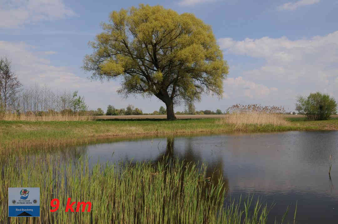 Mertingen - Heißesheim - Riedrundweg