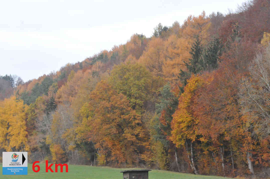 Wächtering - Rundwanderweg Esterholz