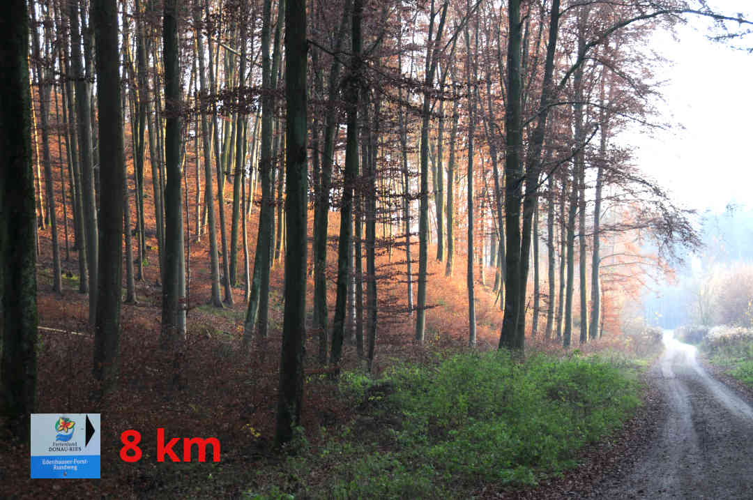 Thierhaupten - Edenhauser Forst - Äußere Rundweg