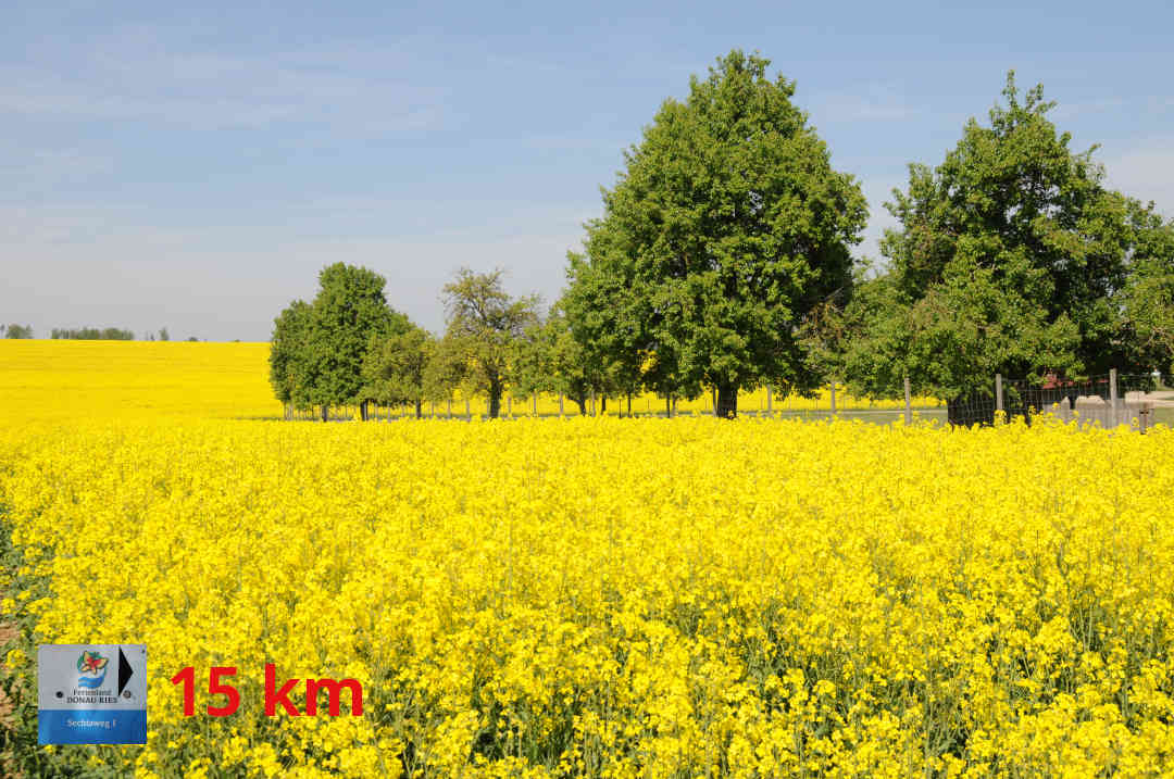 Zipplingen - Sechtaweg 1