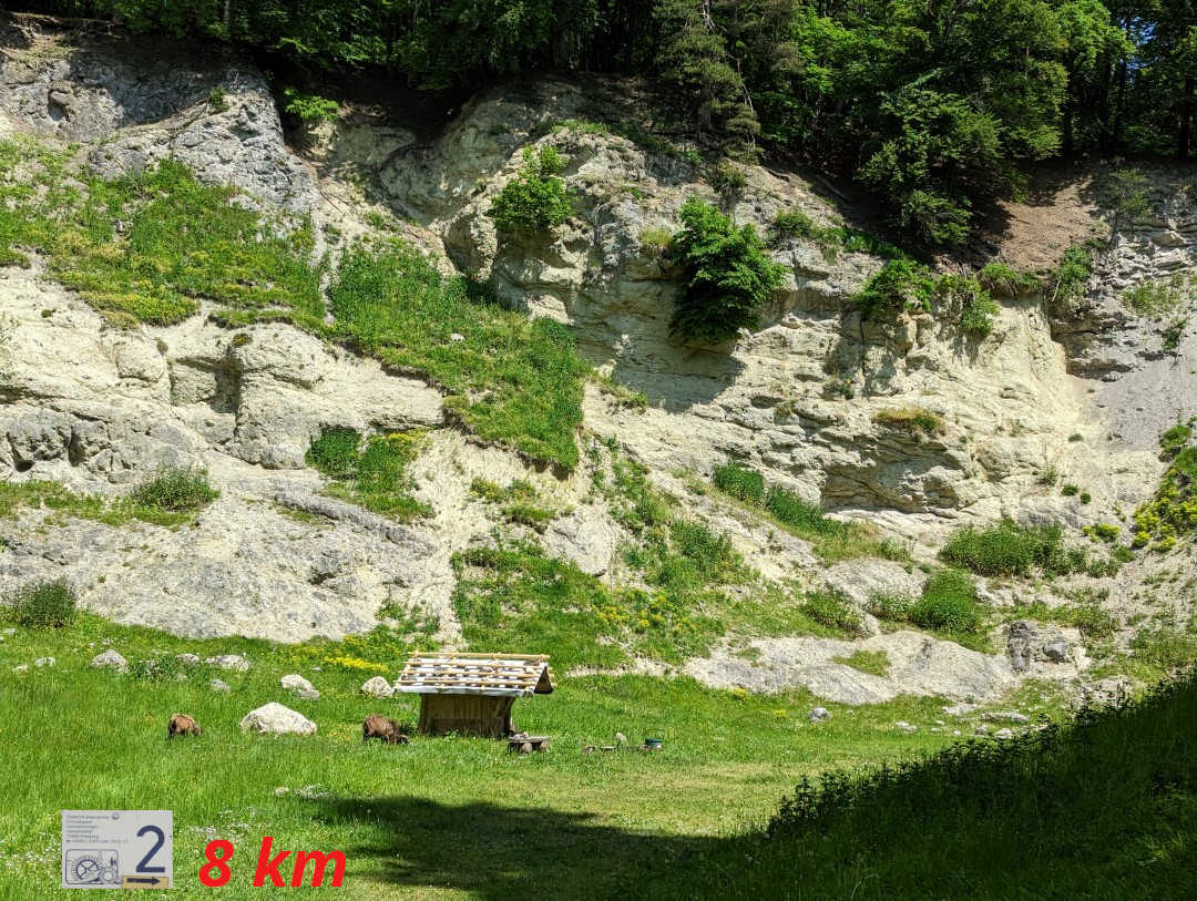 Utzmemmingen - Waldgaststätte Alte Bürg - Utzmemmingen 2