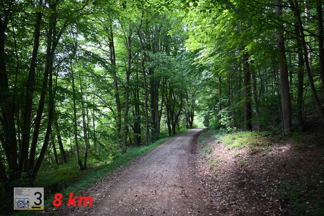 Utzmemmingen - Waldgaststätte Alte Bürg - Utzmemmingen 3