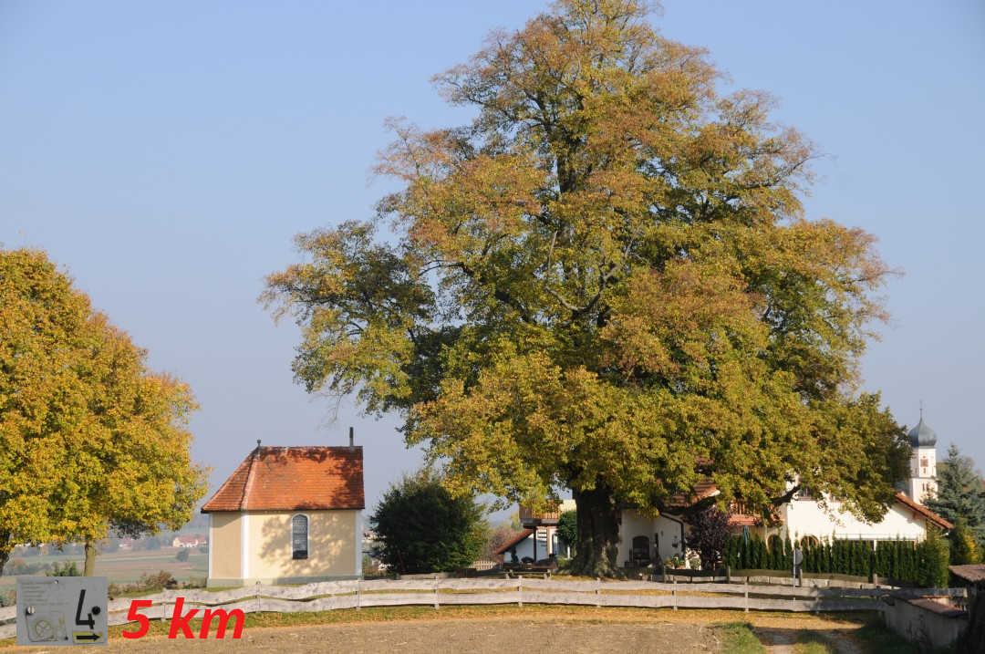 Utzmemmingen - Utzmemmingen 4