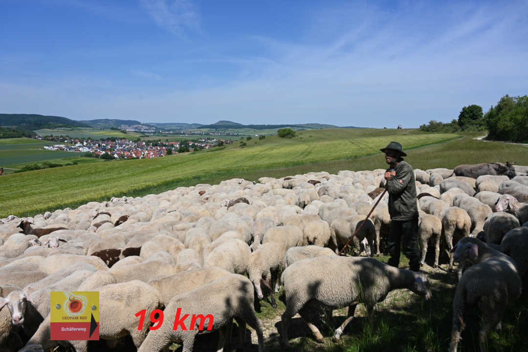 Nördlingen Schäferweg