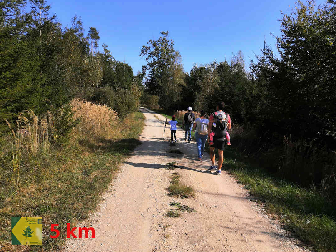 Monheim Stüttelberg - Zukunftswald