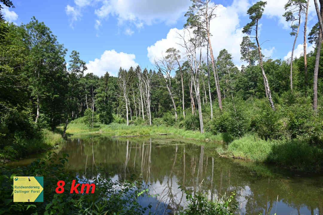 Buchdorf - Rundwanderweg Daitinger Forst