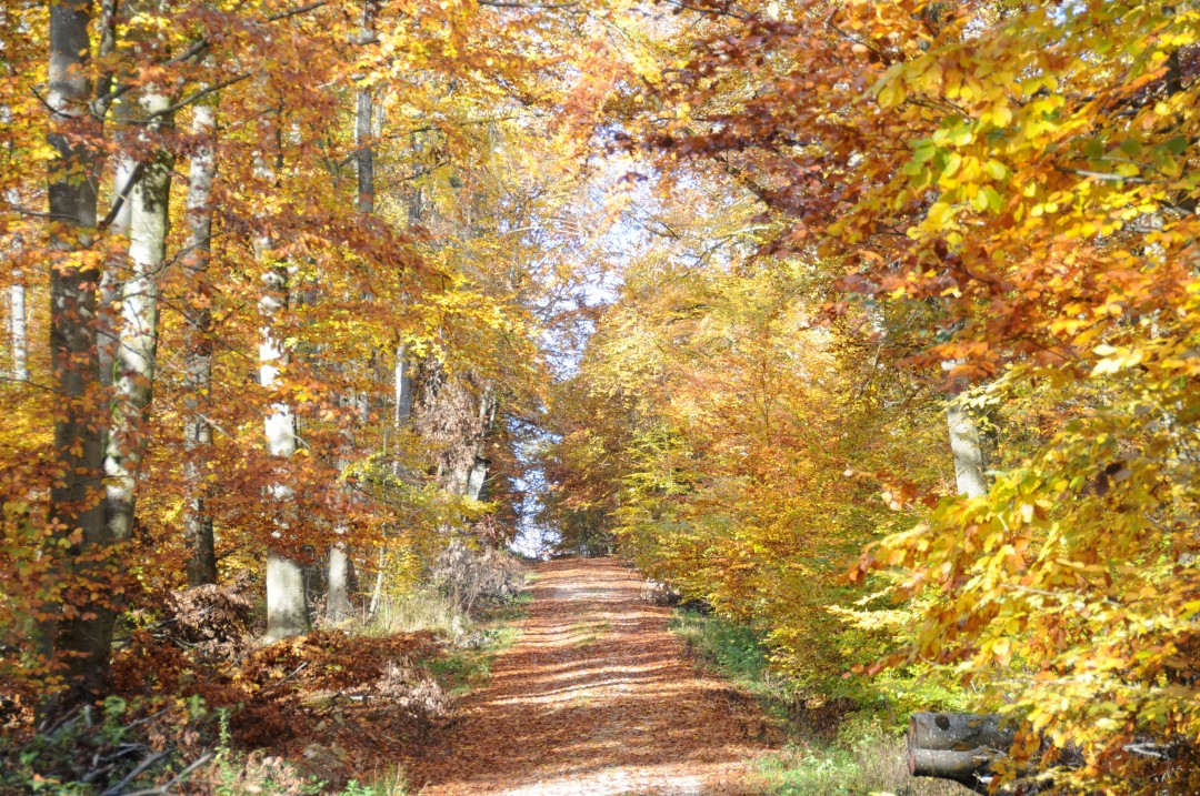 2013-10-24-donauwoerthParkstadt-9.jpg