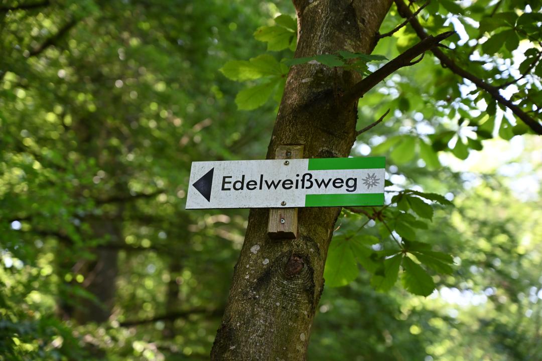 2019-06-14-donauwoerth-edelweisweg-23.jpg