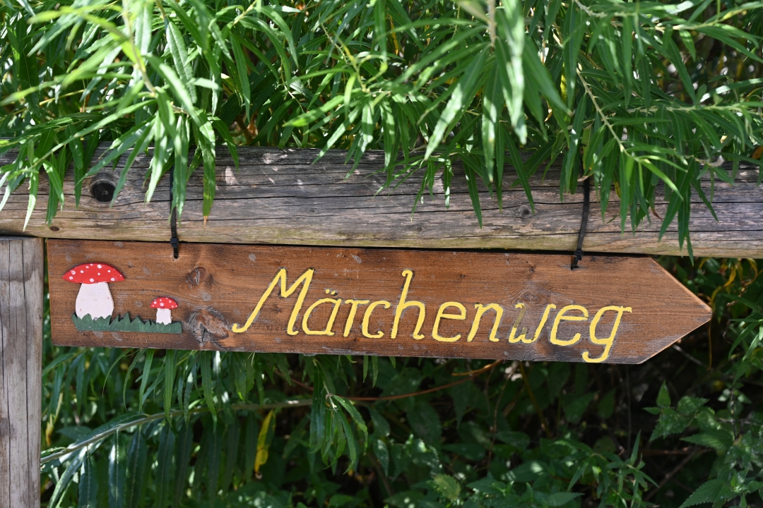 2021-09-18-harburg-maerchenrundweg-rundwegBurg-16.JPG