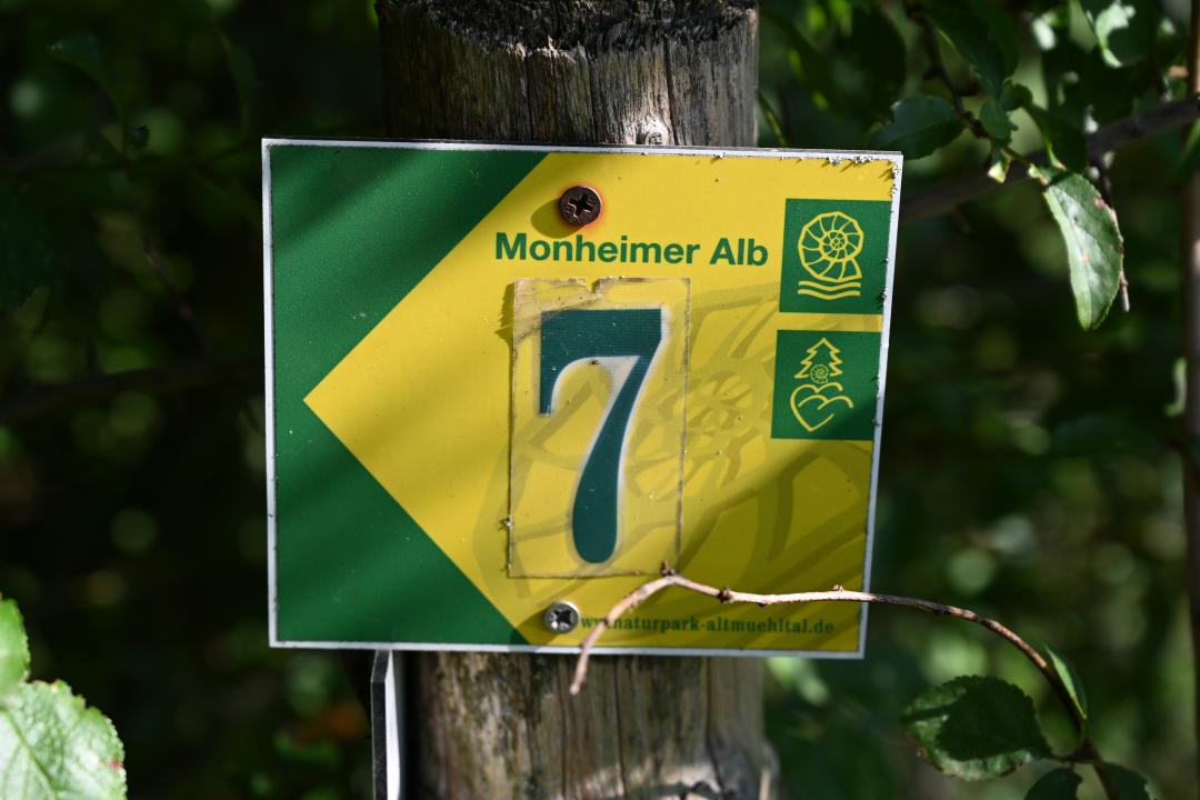 2019-09-13-wittesheim-monheimerAlb7-15.jpg