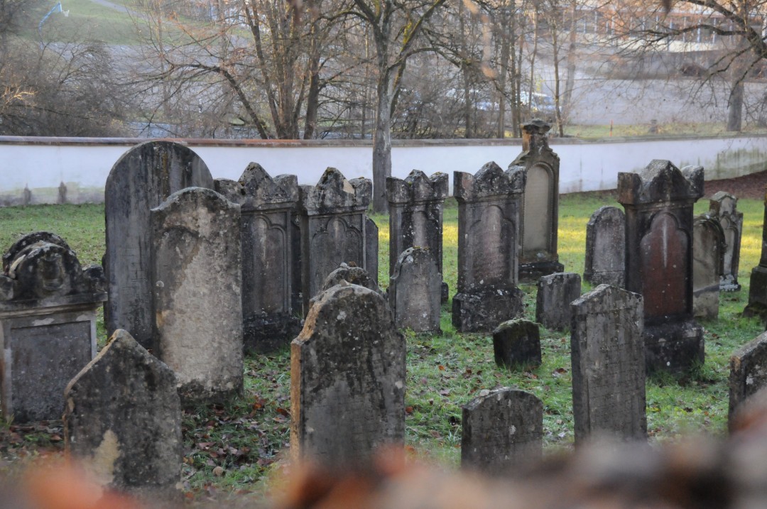 2011-11-27-moenchsdeggingen-kunstwald-judenfriedhof-39.jpg