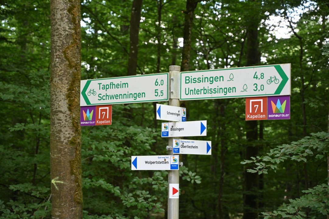 2023-06-17-tapfheim-oppertshofen-brachstadt-72.JPG