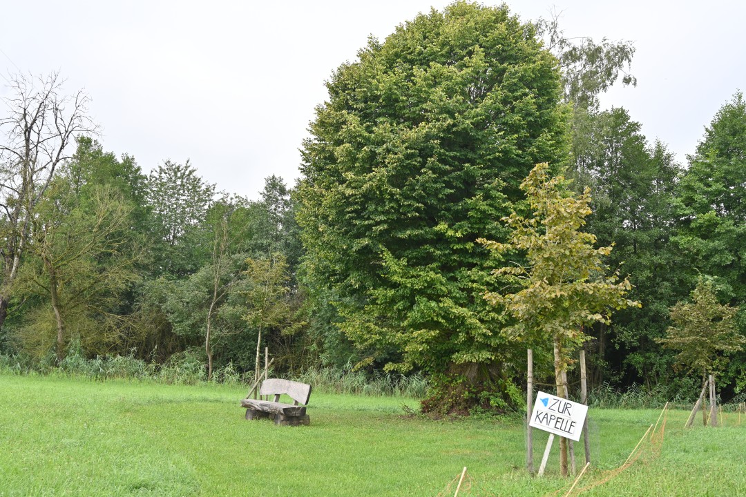 2024-08-15-tapfheim-weg6-32.JPG