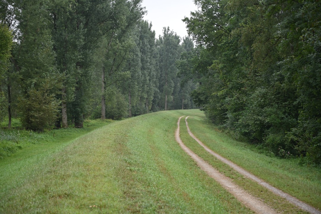 2024-08-15-tapfheim-weg6-6.JPG