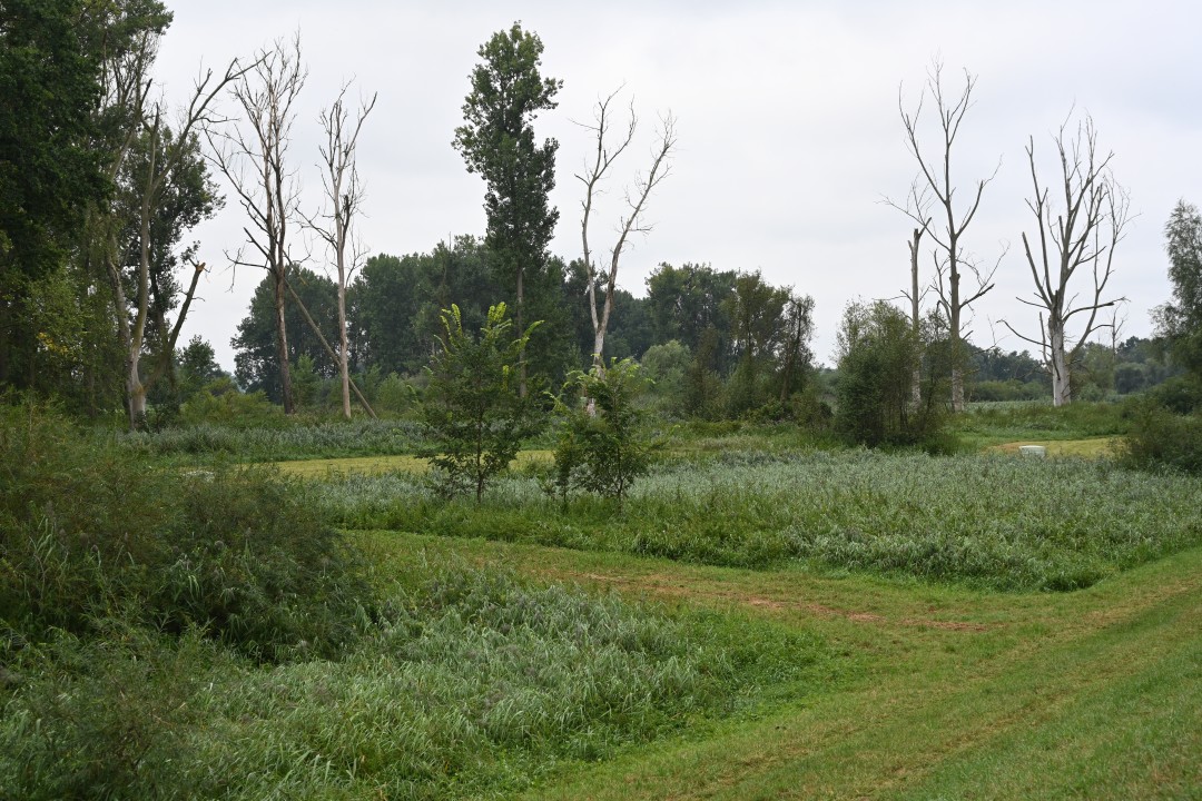 2024-08-15-tapfheim-weg6-8.JPG