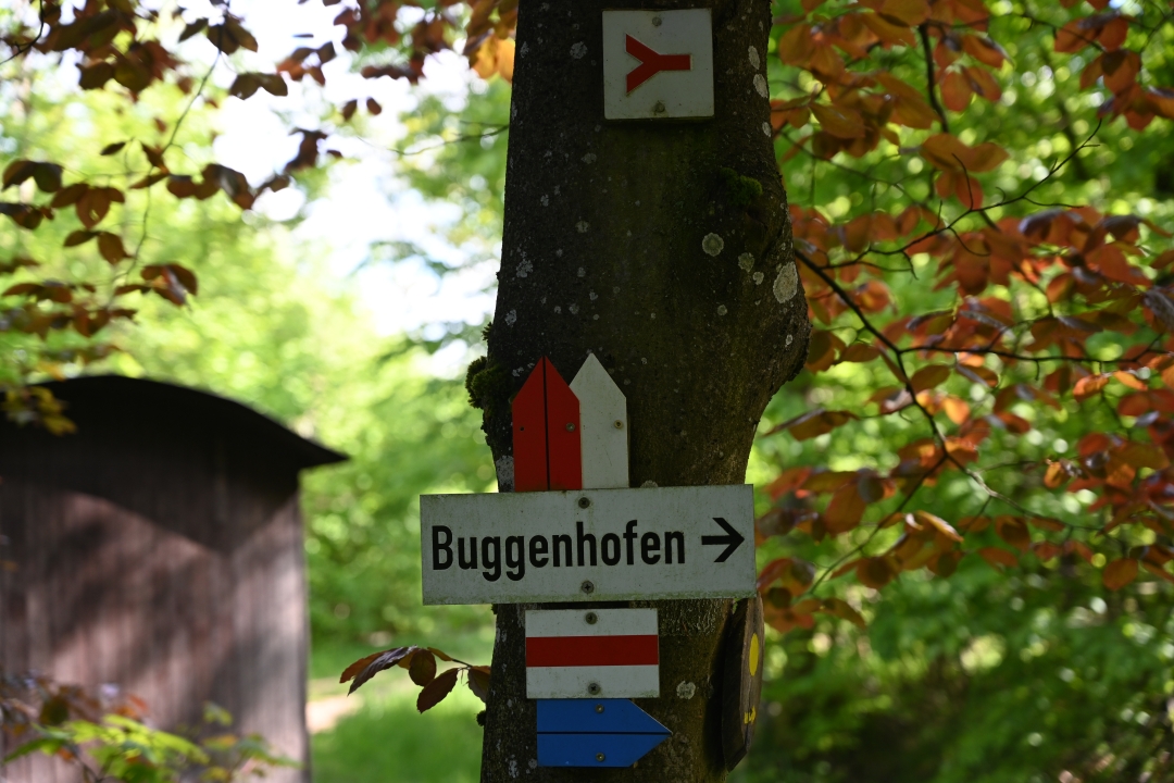 2021-05-23-buggenhofen-blauerPfeil-26.JPG