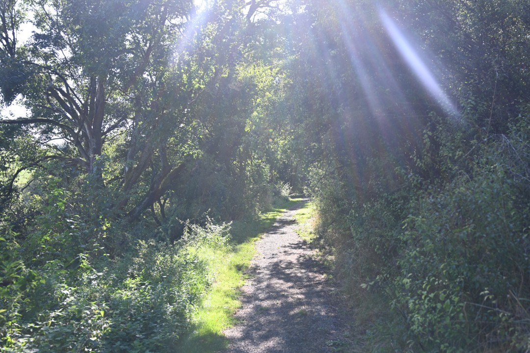 2024-09-07-fronhofen-schlossbergweg-17.JPG