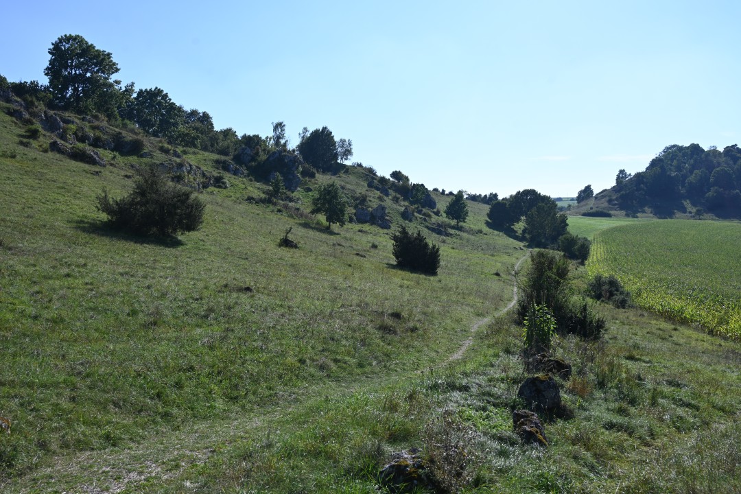 2024-09-07-fronhofen-schlossbergweg-3.JPG