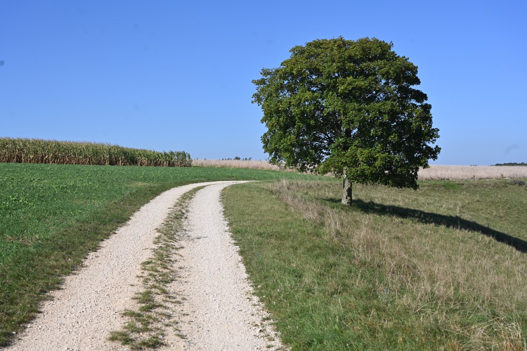 2024-09-07-fronhofen-schlossbergweg-31.JPG