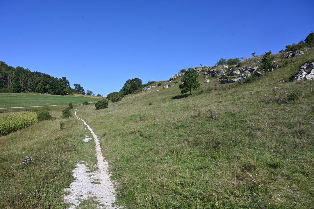 2024-09-07-fronhofen-schlossbergweg-6.JPG