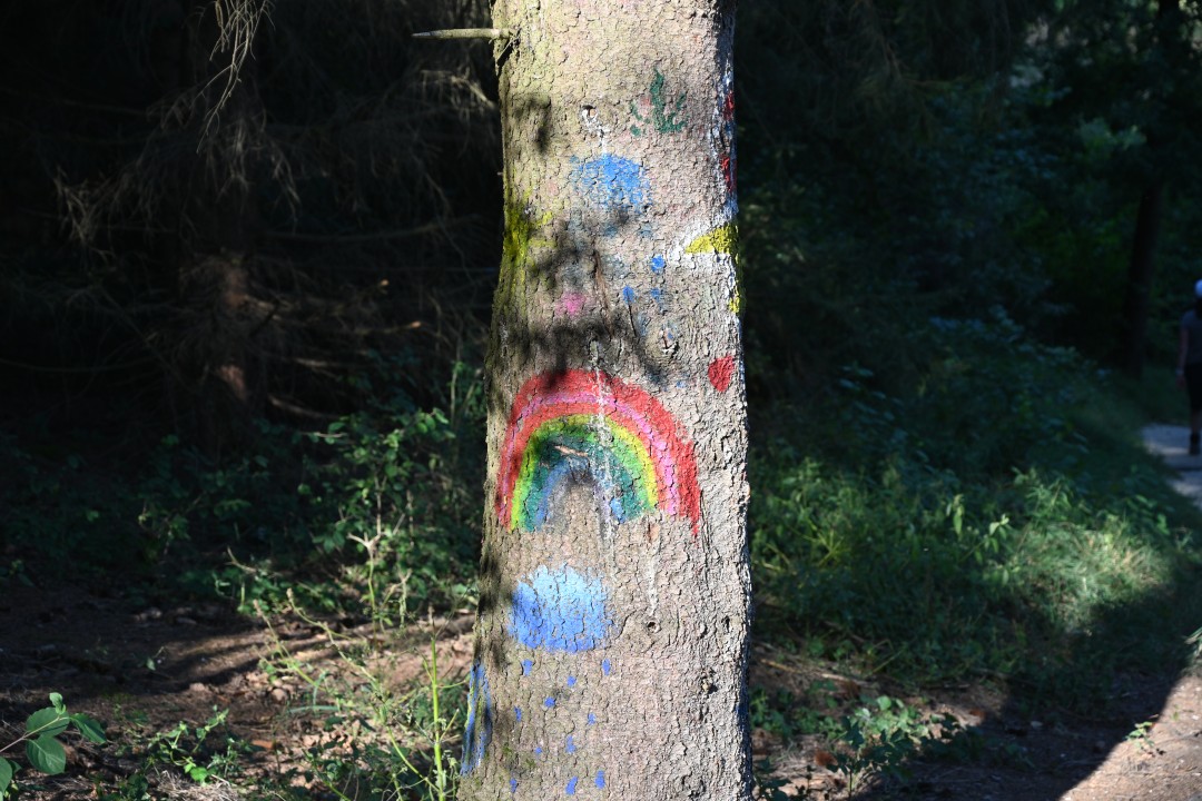 2024-09-07-fronhofen-schlossbergweg-74.JPG