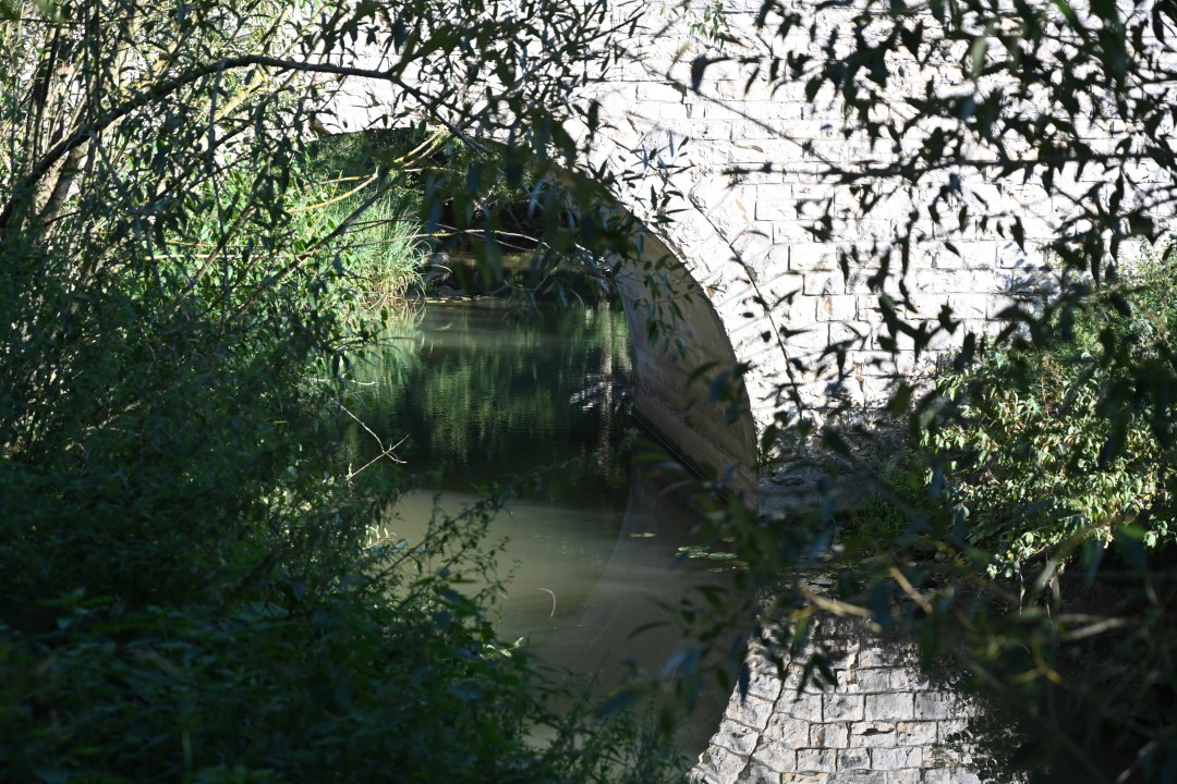 2024-09-07-fronhofen-schlossbergweg-79.JPG