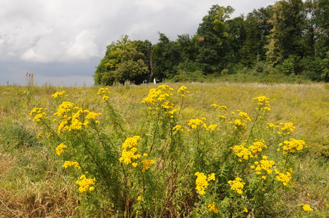 2012-08-03-fronhofen-erlebnisweg-13.jpg