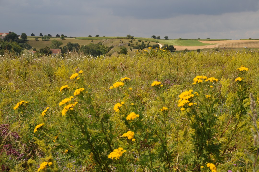 2012-08-03-fronhofen-erlebnisweg-14.jpg