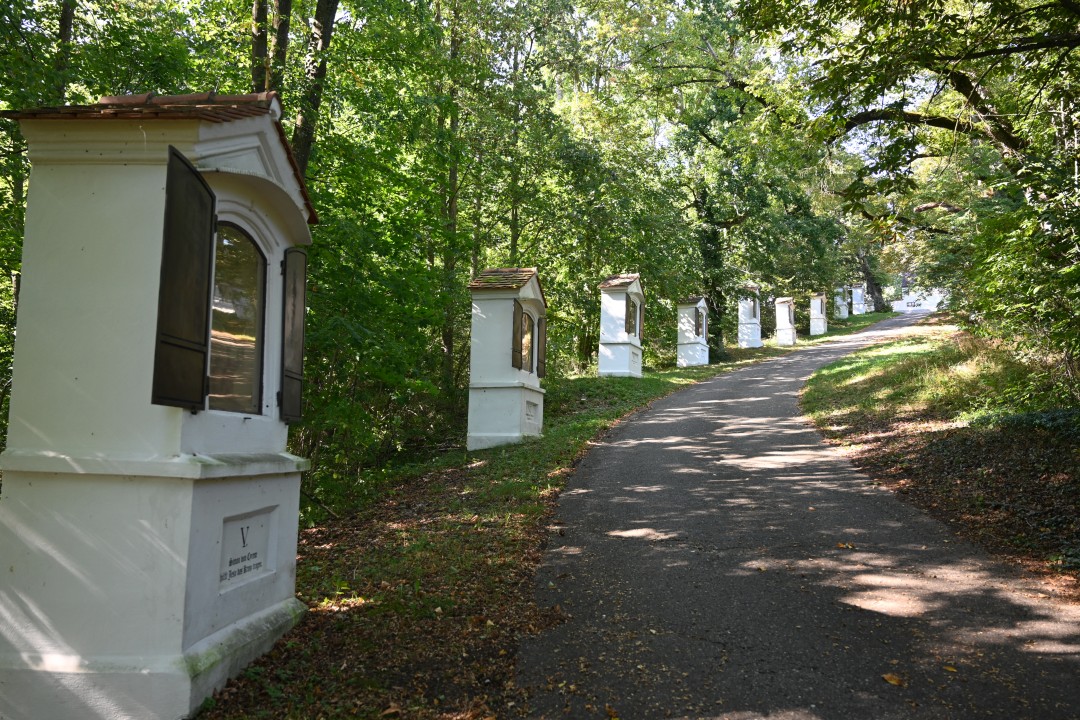 2024-09-07-151-fronhofen-erlebnisrundweg-4.JPG