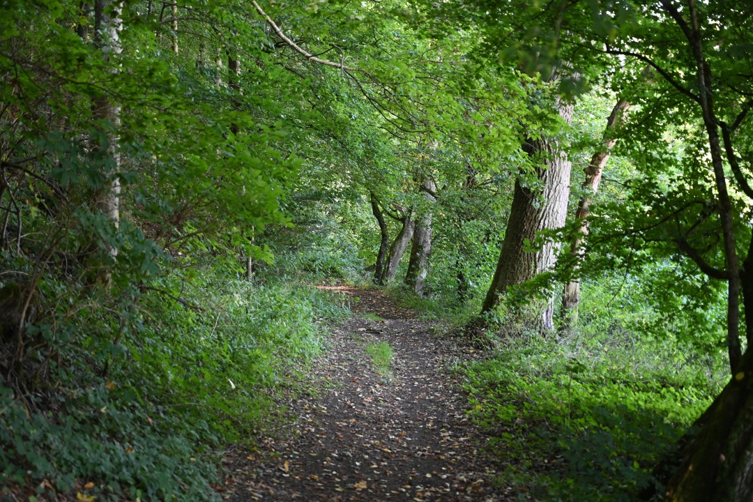 2024-09-07-151-fronhofen-erlebnisrundweg-47.JPG