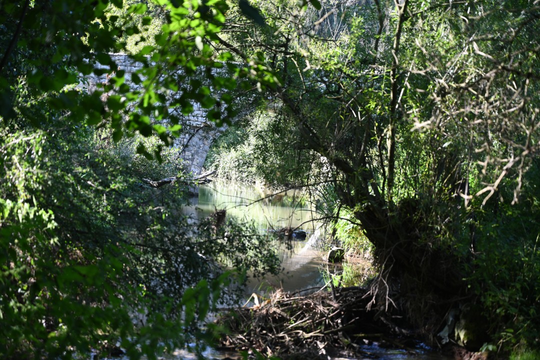 2024-09-07-151-fronhofen-erlebnisrundweg-53.JPG