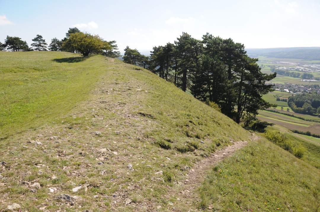 2011-09-10-bopfingenBaldern-3.jpg