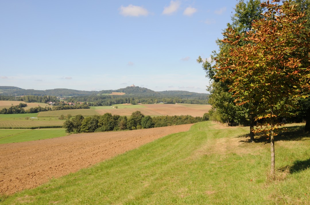 2011-09-10-bopfingenBaldern-7.jpg