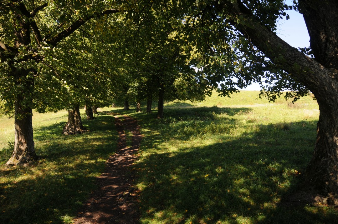 2011-09-10-bopfingenBaldern-5.jpg