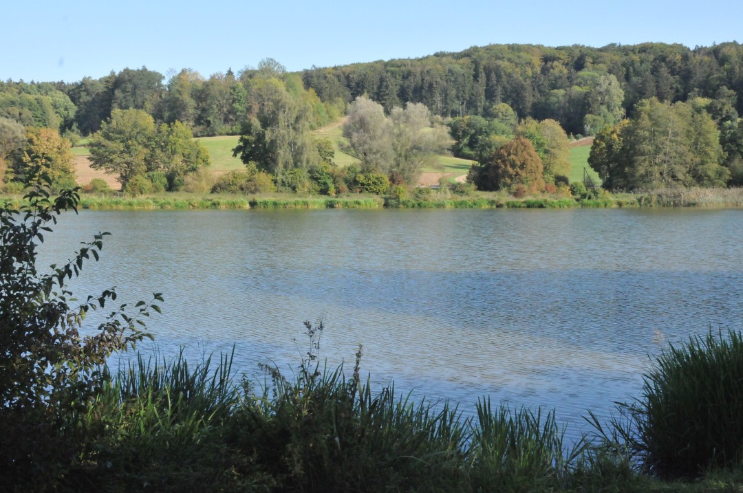 2018-09-19-steinhart-geologischerWeg2-16.jpg