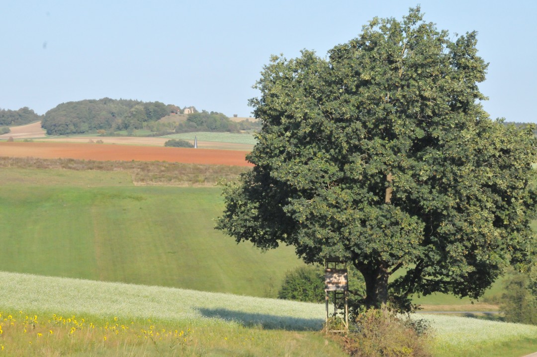 2018-09-19-steinhart-geologischerWeg2-32.jpg