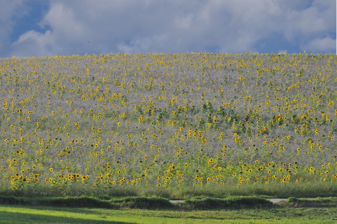 2018-09-19-steinhart-geologischerWeg2-37-1.jpg