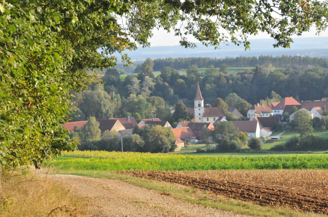 2018-09-19-steinhart-geologischerWeg2-70.jpg