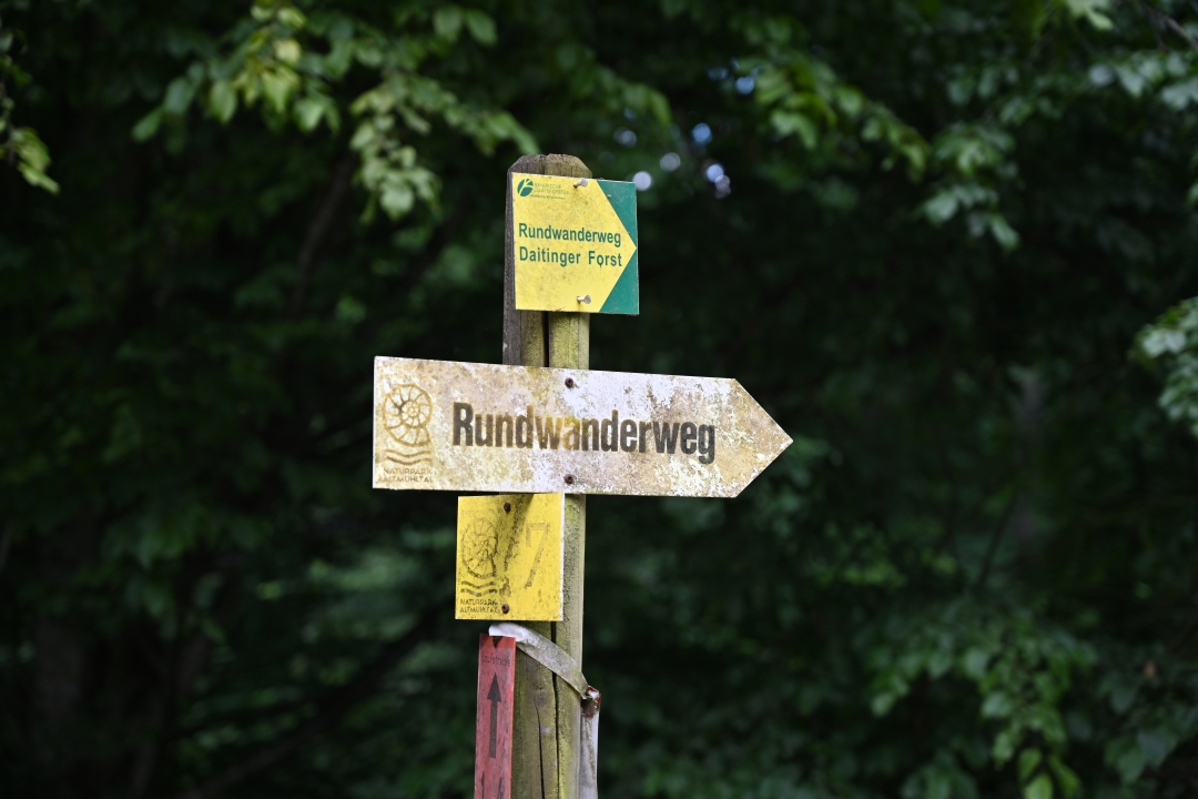 2020-07-07-buchdorf-RundwanderwegDaitingerForst-3.jpg