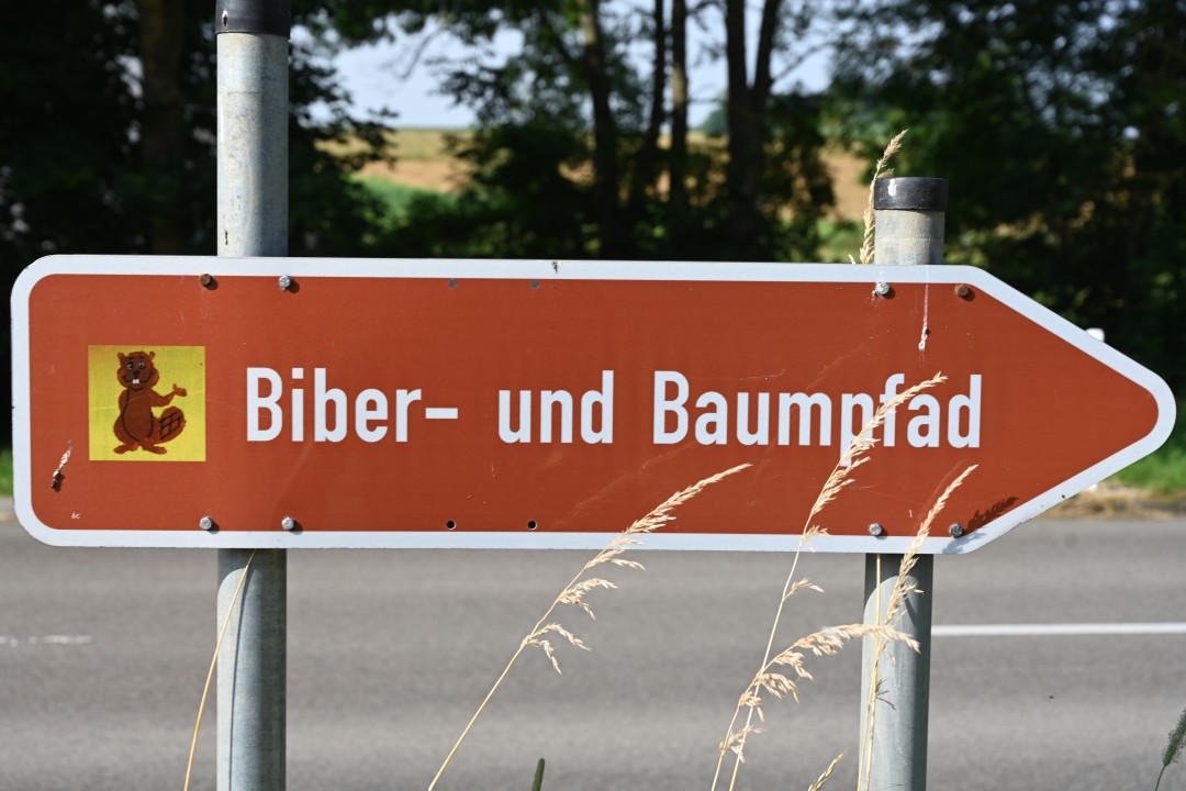 2024-06-29-benzenzimmernBibererlebnispfad-2.JPG