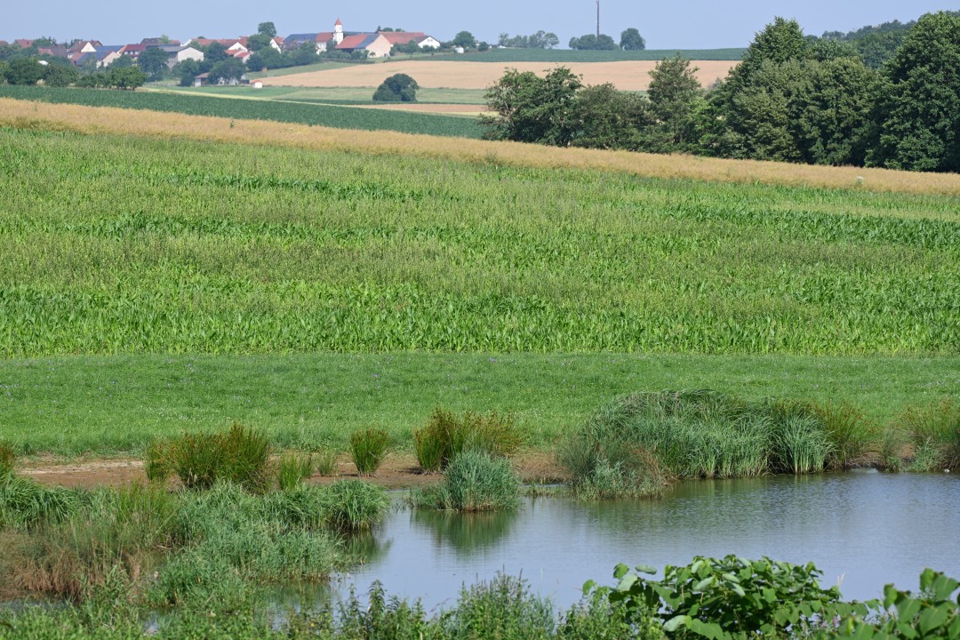 2024-06-29-benzenzimmernBibererlebnispfad-59.JPG