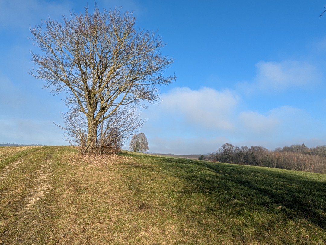 2024-12-25-donauwoerth-galgenbergrundweg-25.jpg